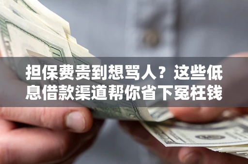 济南担保费贵到想骂人？这些低息借款渠道帮你省下冤枉钱