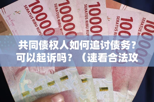 济南共同债权人如何追讨债务？可以起诉吗？（速看合法攻略）